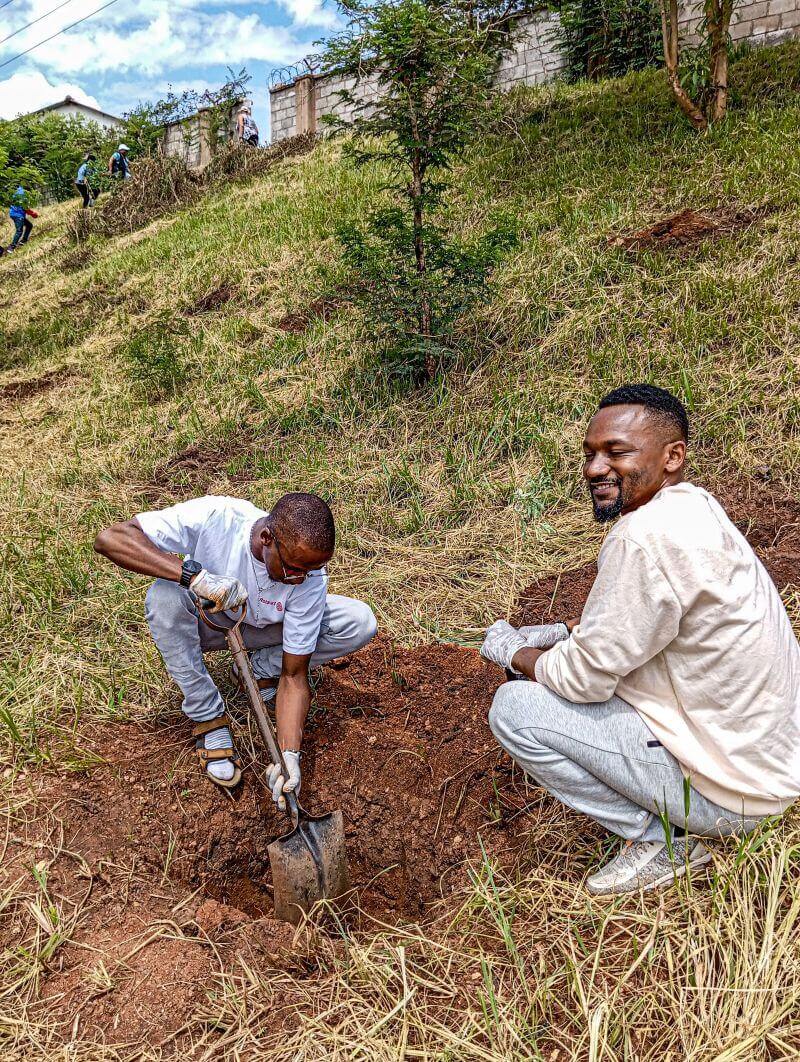 Tree Planting Activities